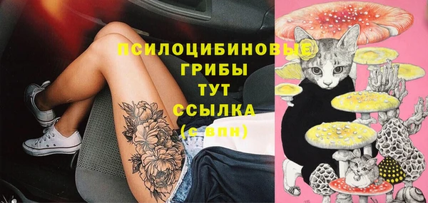 стафф Аркадак