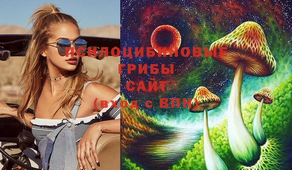 стафф Аркадак