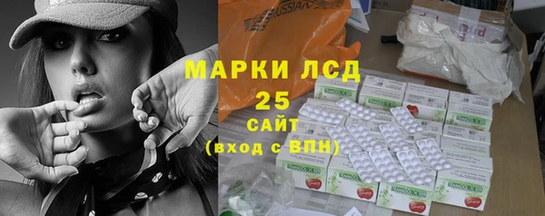 стафф Аркадак