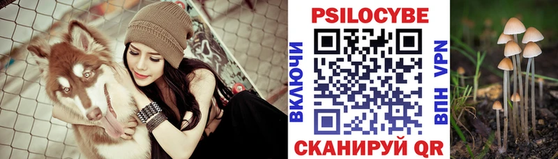 Галлюциногенные грибы Psilocybe kraken ТОР Сальск